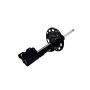 FCS Struts 333870L Suspension Strut