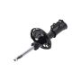FCS Struts 333872L Suspension Strut