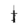 FCS Struts 333872L Suspension Strut