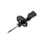 FCS Struts 333872R Suspension Strut