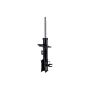 FCS Struts 333919R Suspension Strut