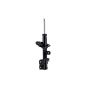 FCS Struts 333923R Suspension Strut