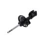 FCS Struts 333924 Suspension Strut
