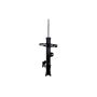 FCS Struts 333926L Suspension Strut