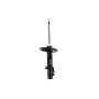 FCS Struts 333928L Suspension Strut