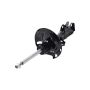 FCS Struts 333942L Suspension Strut