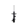 FCS Struts 333967L Suspension Strut