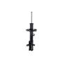 FCS Struts 333969L Suspension Strut