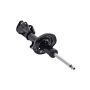 FCS Struts 333969L Suspension Strut