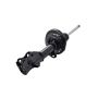 FCS Struts 333969L Suspension Strut