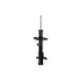 FCS Struts 333969R Suspension Strut