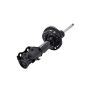 FCS Struts 333969R Suspension Strut