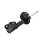 FCS Struts 333971L Suspension Strut