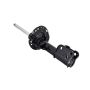 FCS Struts 333971L Suspension Strut