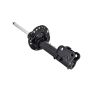 FCS Struts 333971R Suspension Strut