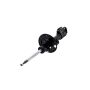 FCS Struts 333981L Suspension Strut