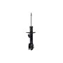 FCS Struts 333981L Suspension Strut