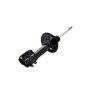 FCS Struts 333981L Suspension Strut