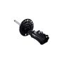 FCS Struts 333984L Suspension Strut