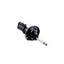 FCS Struts 333987L Suspension Strut