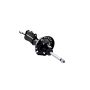 FCS Struts 333987R Suspension Strut