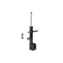 FCS Struts 333998R Suspension Strut