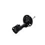 FCS Struts 334010L Suspension Strut