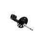 FCS Struts 334010R Suspension Strut