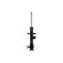 FCS Struts 334016L Suspension Strut