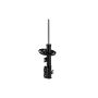 FCS Struts 334018L Shock Absorber