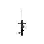 FCS Struts 334018L Shock Absorber