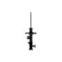 FCS Struts 334018R Shock Absorber