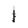 FCS Struts 334019L Shock Absorber