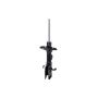 FCS Struts 334048L Suspension Strut