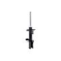 FCS Struts 334053L Suspension Strut