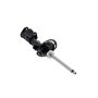 FCS Struts 334053L Suspension Strut