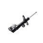 FCS Struts 334054L Suspension Strut