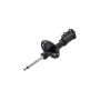 FCS Struts 334056L Suspension Strut