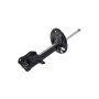 FCS Struts 334057R Suspension Strut