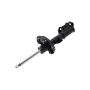 FCS Struts 334069L Suspension Strut