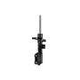 FCS Struts 334069R Suspension Strut