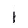 FCS Struts 334076L Suspension Strut