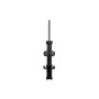 FCS Struts 334078 Suspension Strut