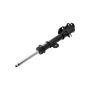 FCS Struts 334078 Suspension Strut