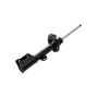 FCS Struts 334079L Suspension Strut
