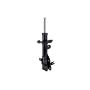 FCS Struts 334086L Suspension Strut