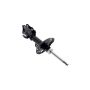 FCS Struts 334089R Shock Absorber
