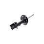 FCS Struts 334089R Shock Absorber