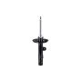 FCS Struts 334097L Suspension Strut