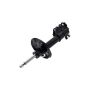 FCS Struts 334103R Suspension Strut